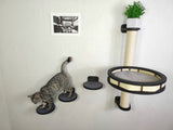 Cat wall tree - Dark & Steps plus Sratching post with Round shelf