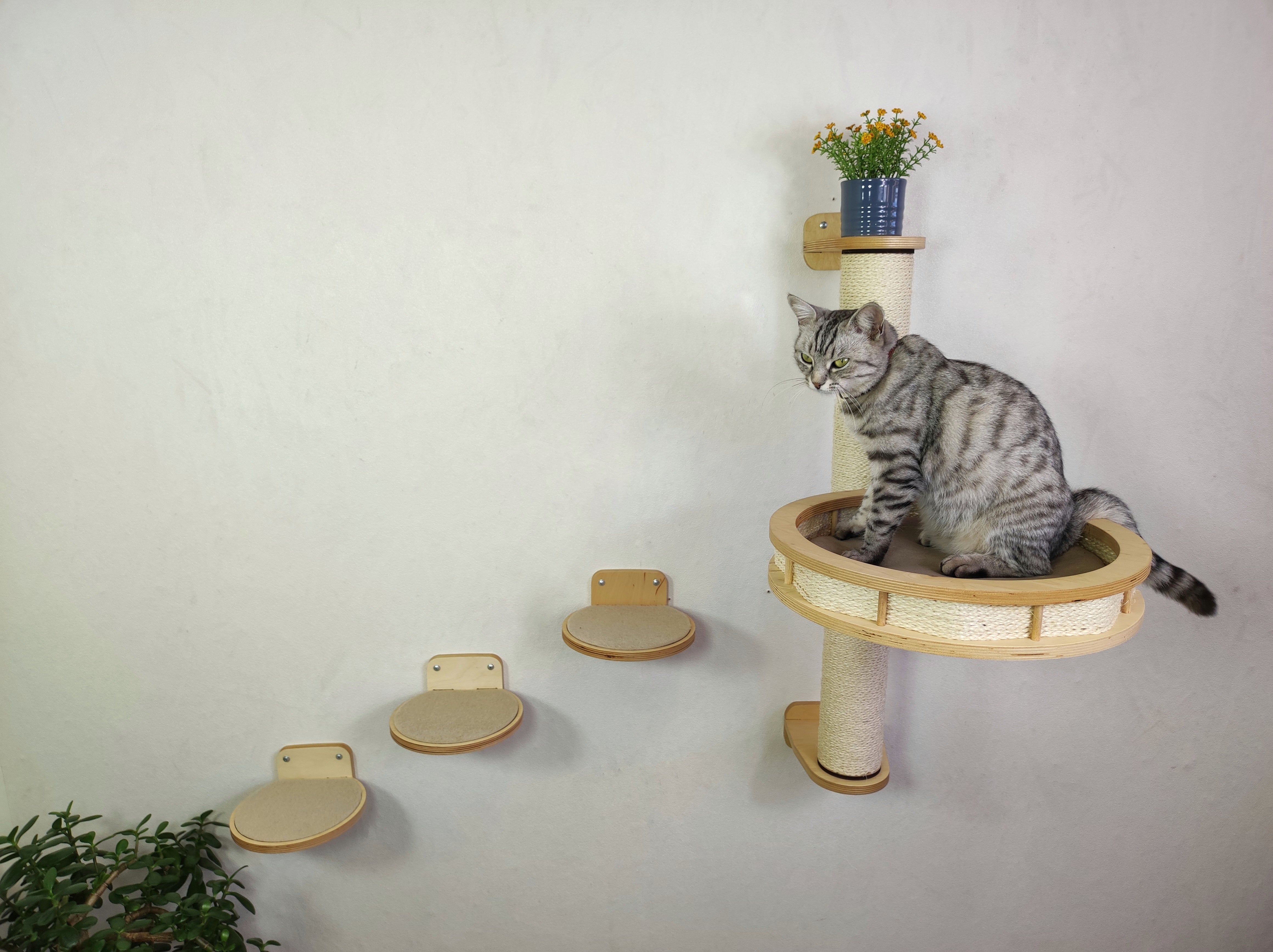 Cat wall tree and shelves - modern set - Light / Steps plus Round shelf