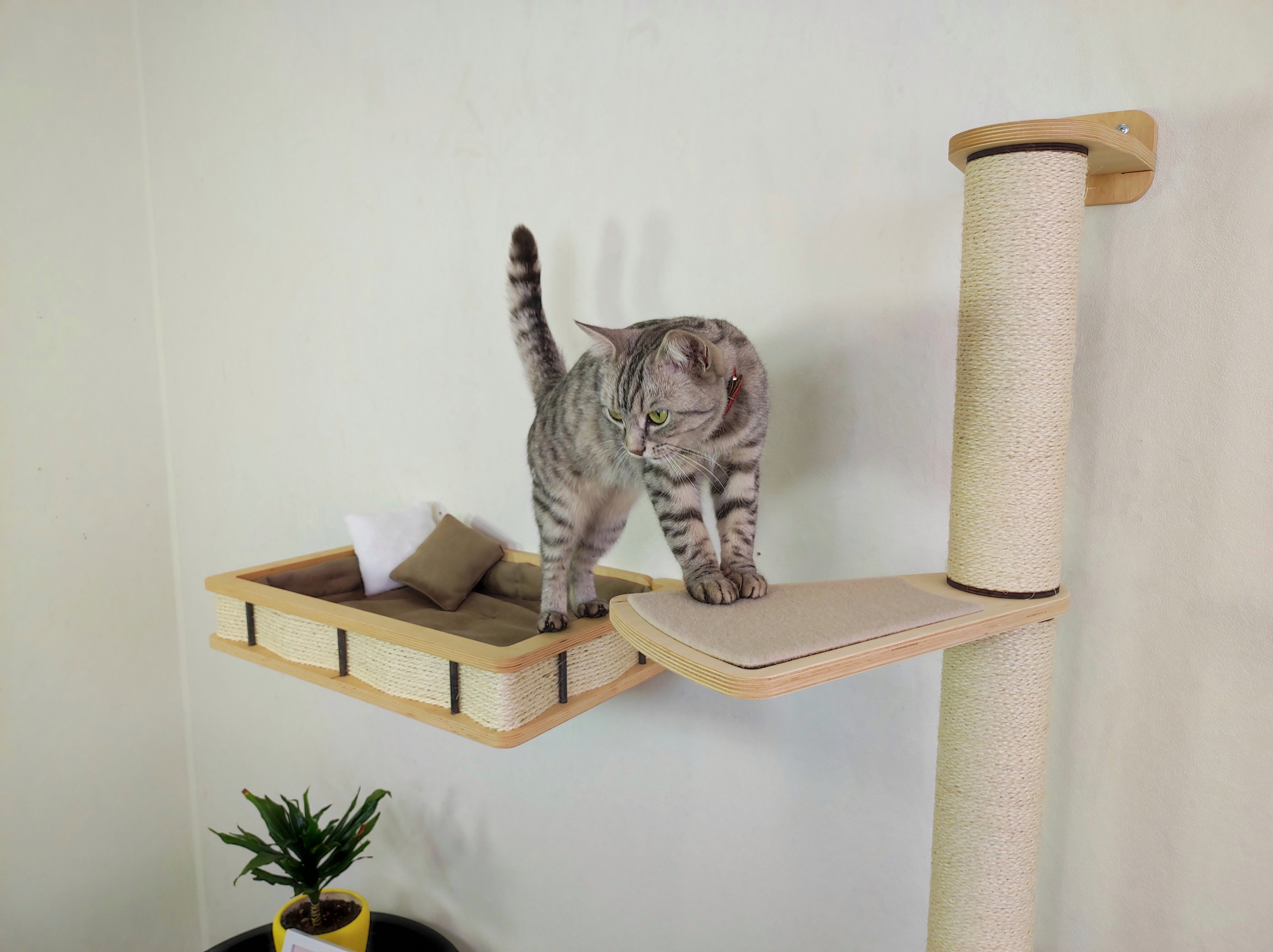 Wall-mounted cat furniture made of light plywood