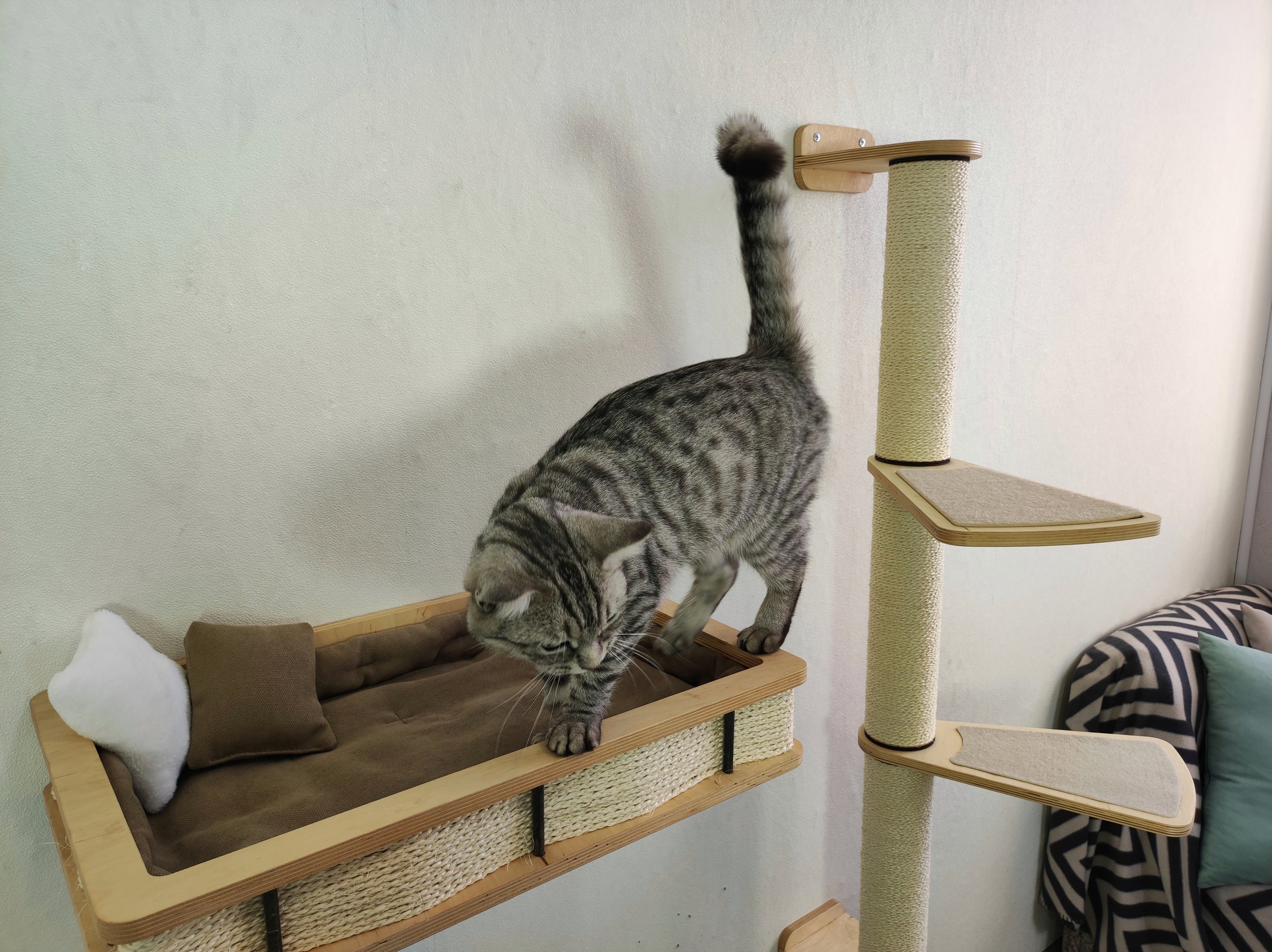 wall mounted modern wall shelf for big cats