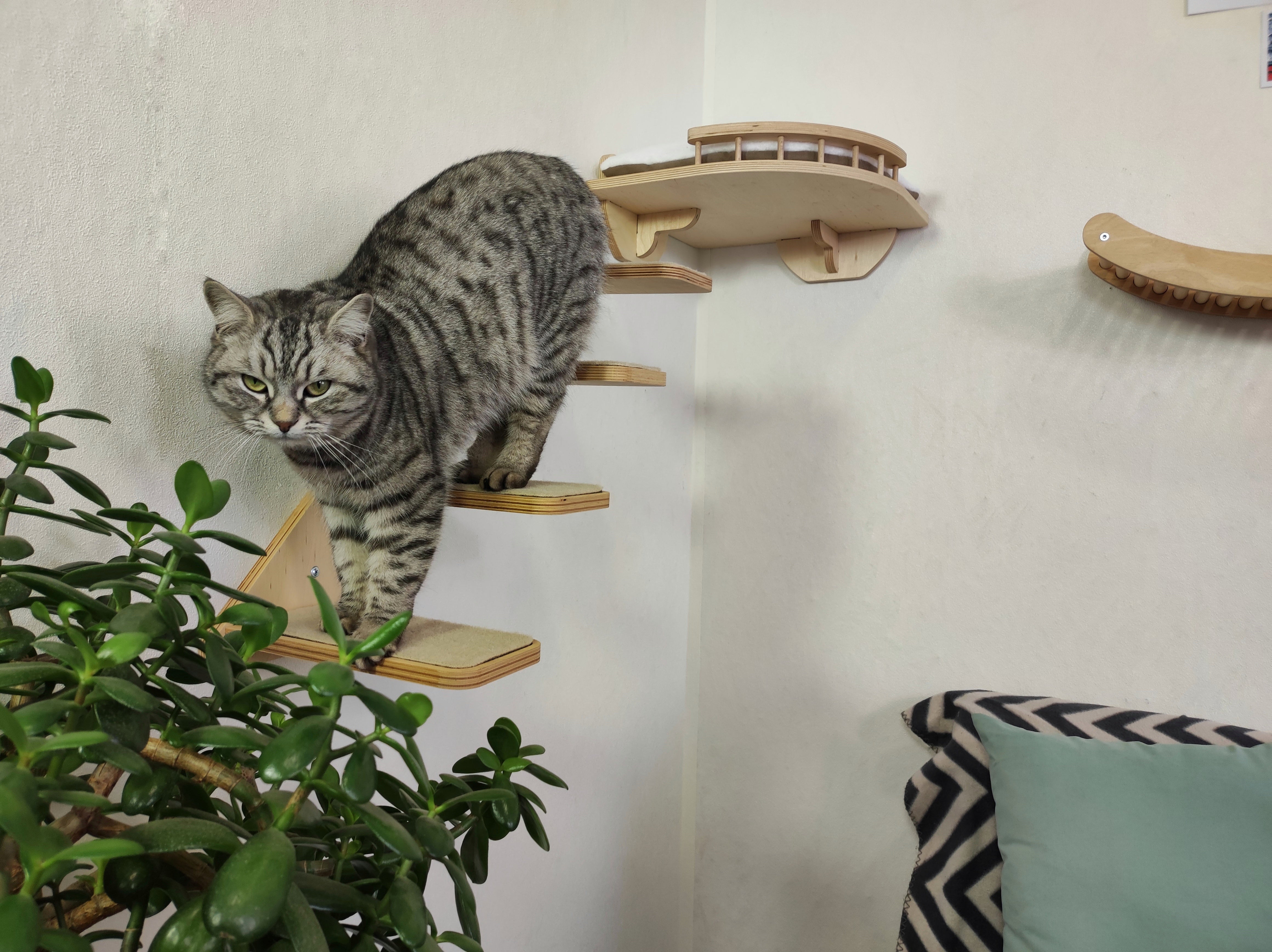 Cat wall ladder, Cat bed, Cat steps