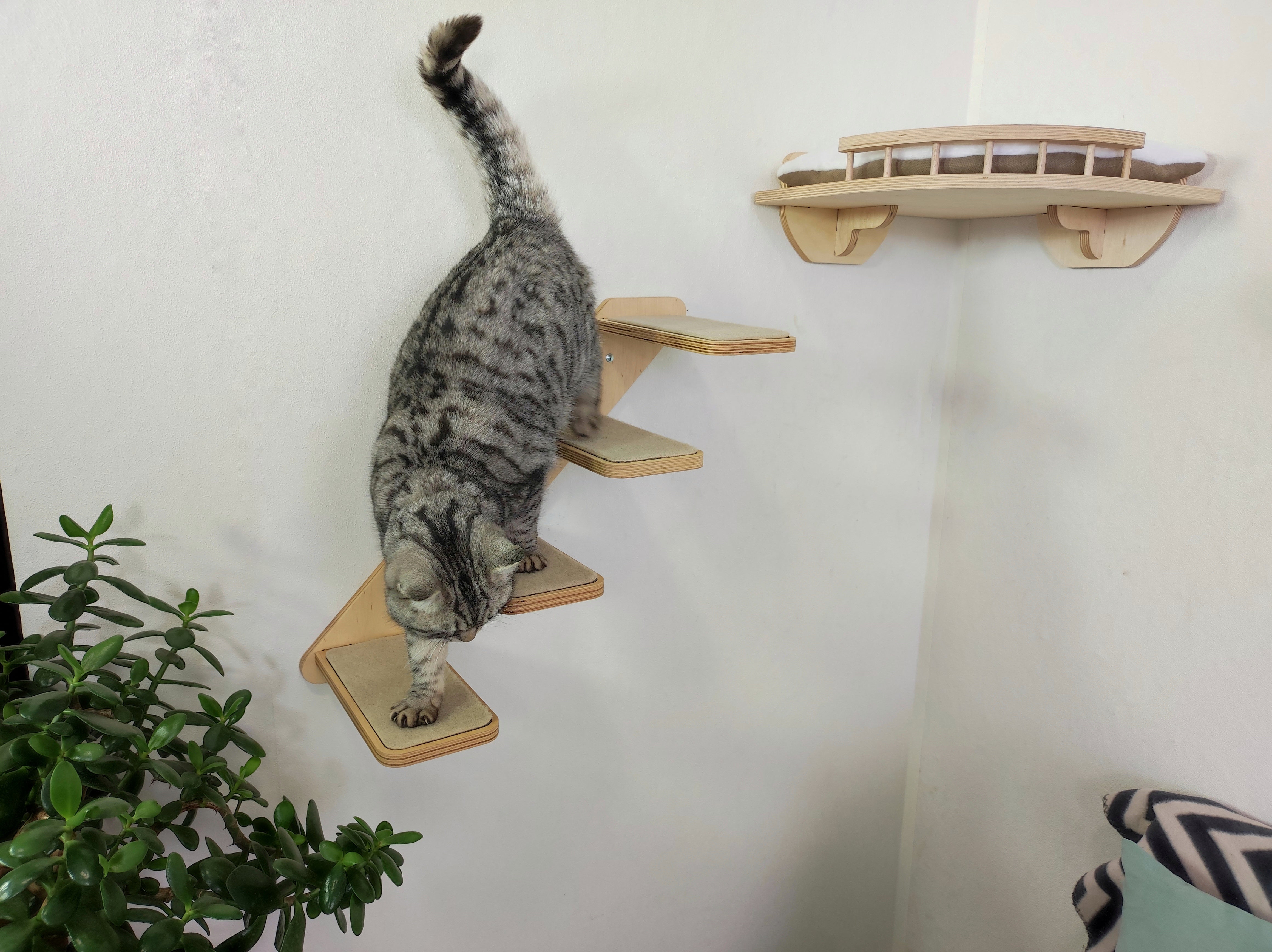 Cat Wall Ladder