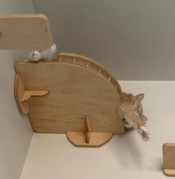 Convenient wall shelf for a cat