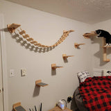 Cat wall steps, Flat wall steps, Cat steps