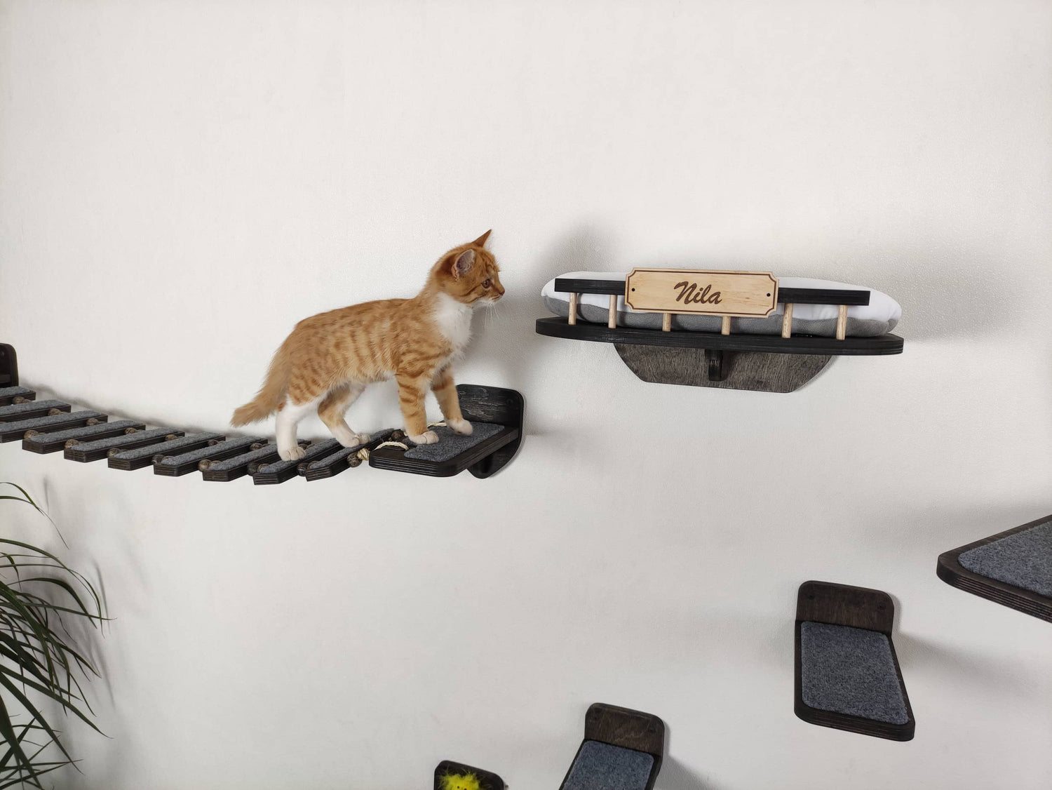 Wall Mounted Cat Furniture Set - Dark Color