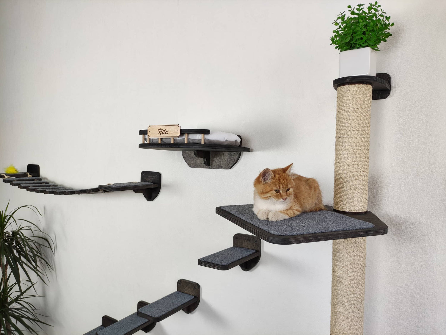 Wall Mounted Cat Furniture Set - Dark Color