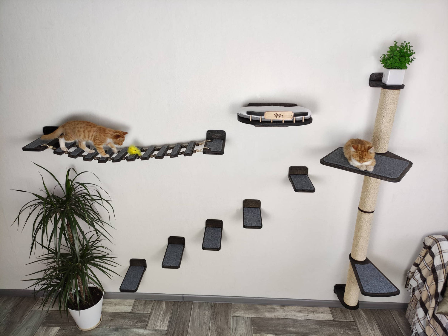 Wall Mounted Cat Furniture Set - Dark Color