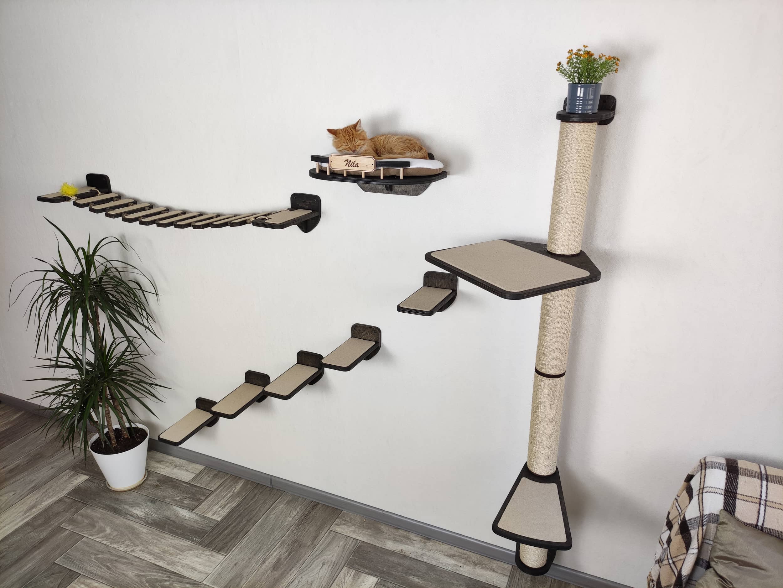 Cat furniture set "BONY" - Dark
