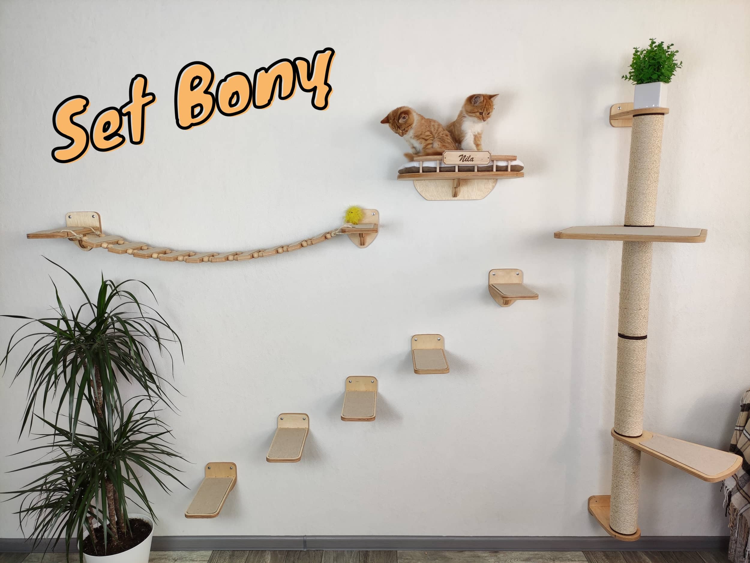 Cat furniture set "BONY" - Light