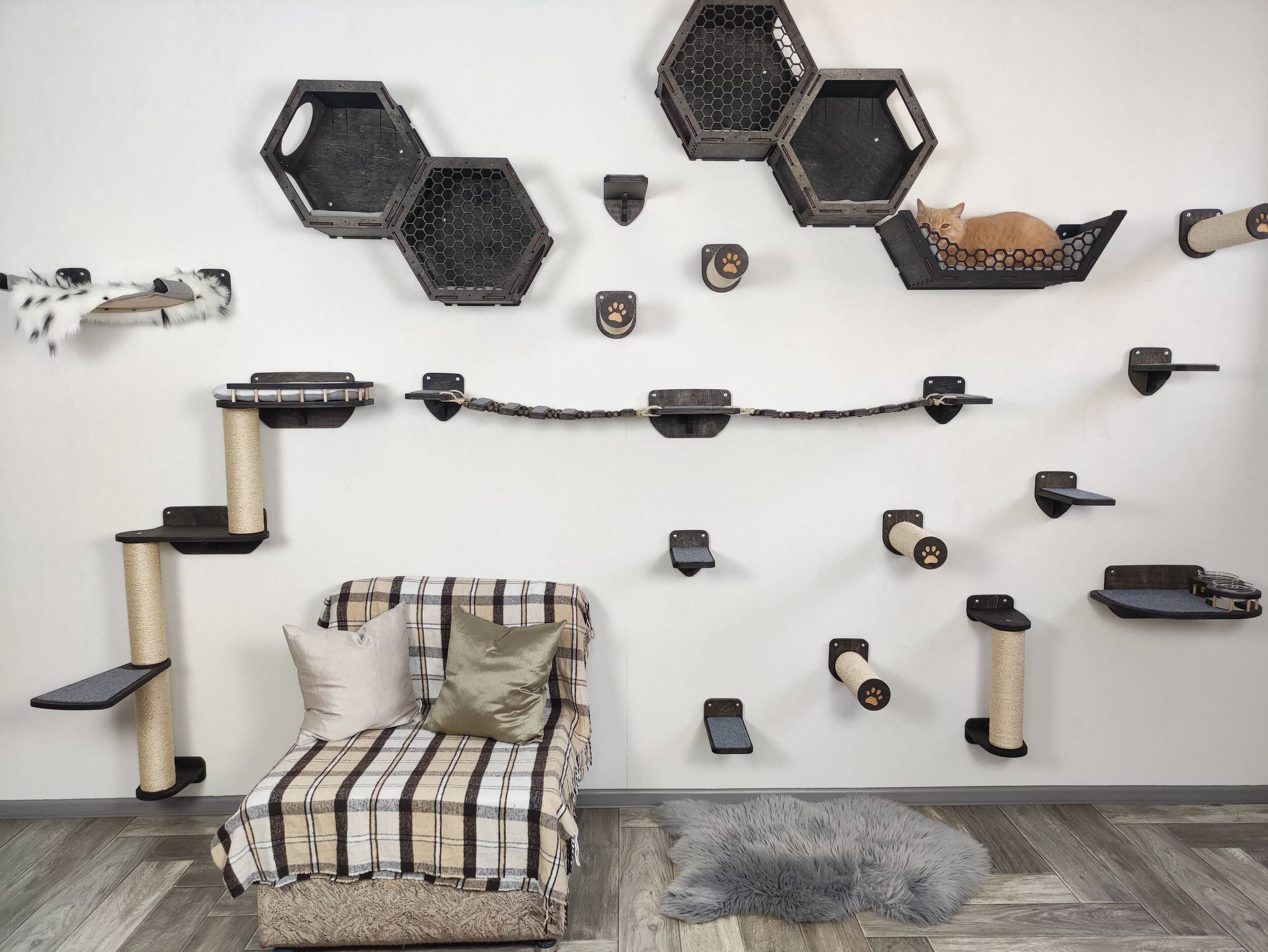 Large set of wall mounted cat shelves