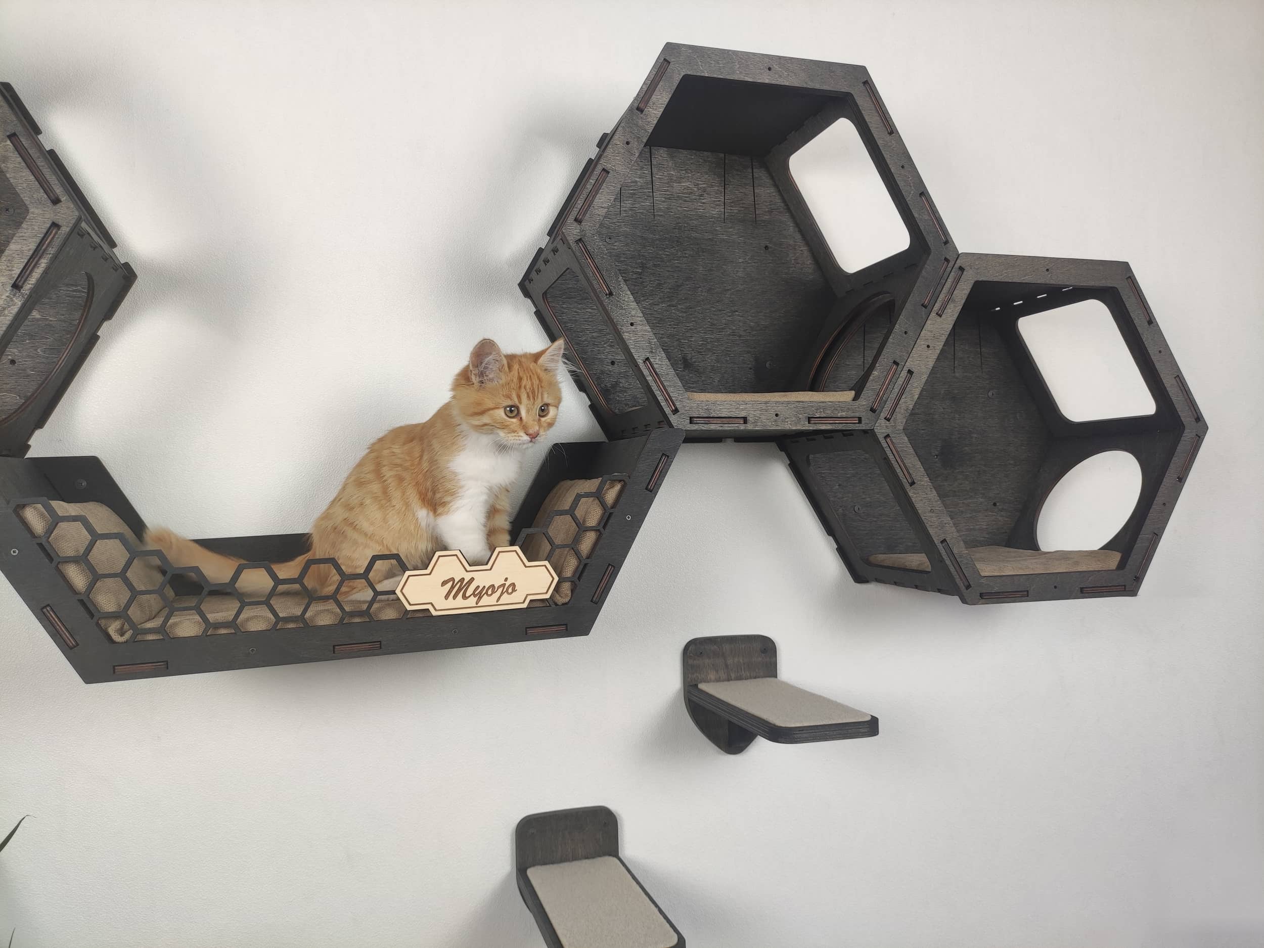 Hex Wall Cat Shelves and Cat Steps