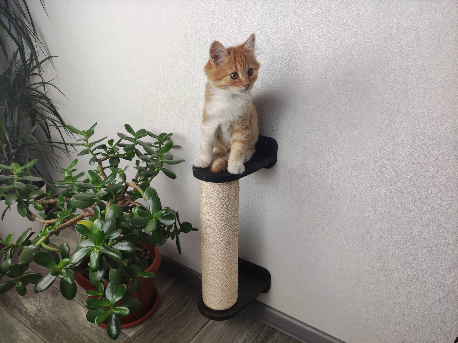 Cat Scratching Pole Wall-Mounted