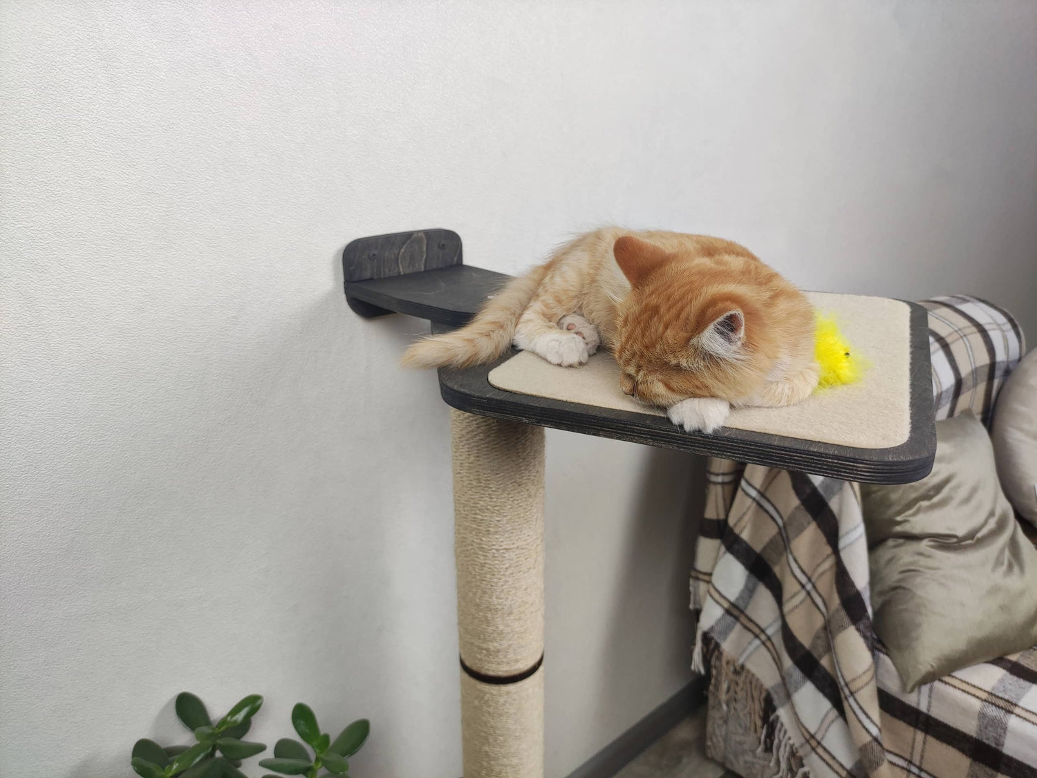 Double cat scratching post with shelf on top