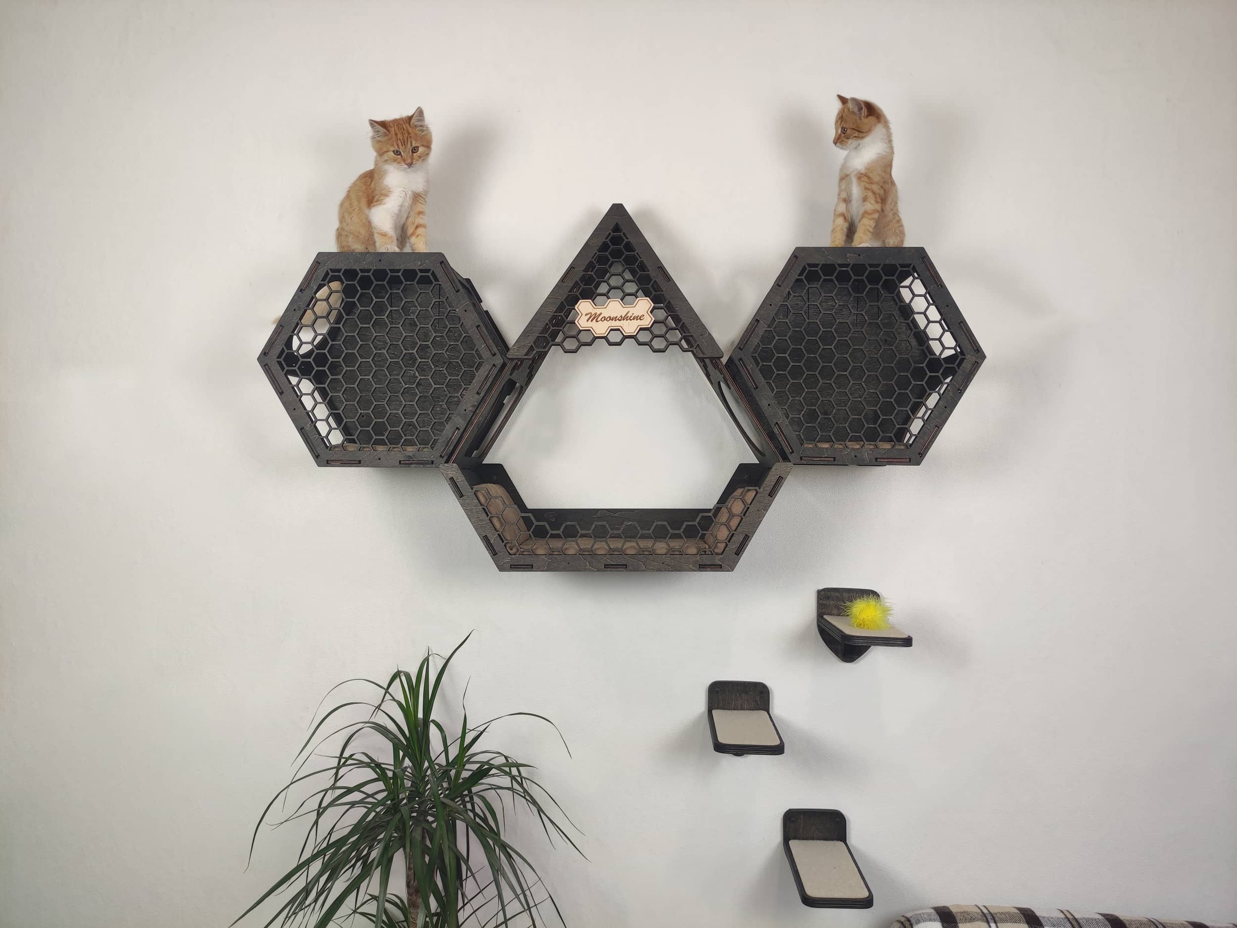 Wall mounted cat furniture / cat house - Dark