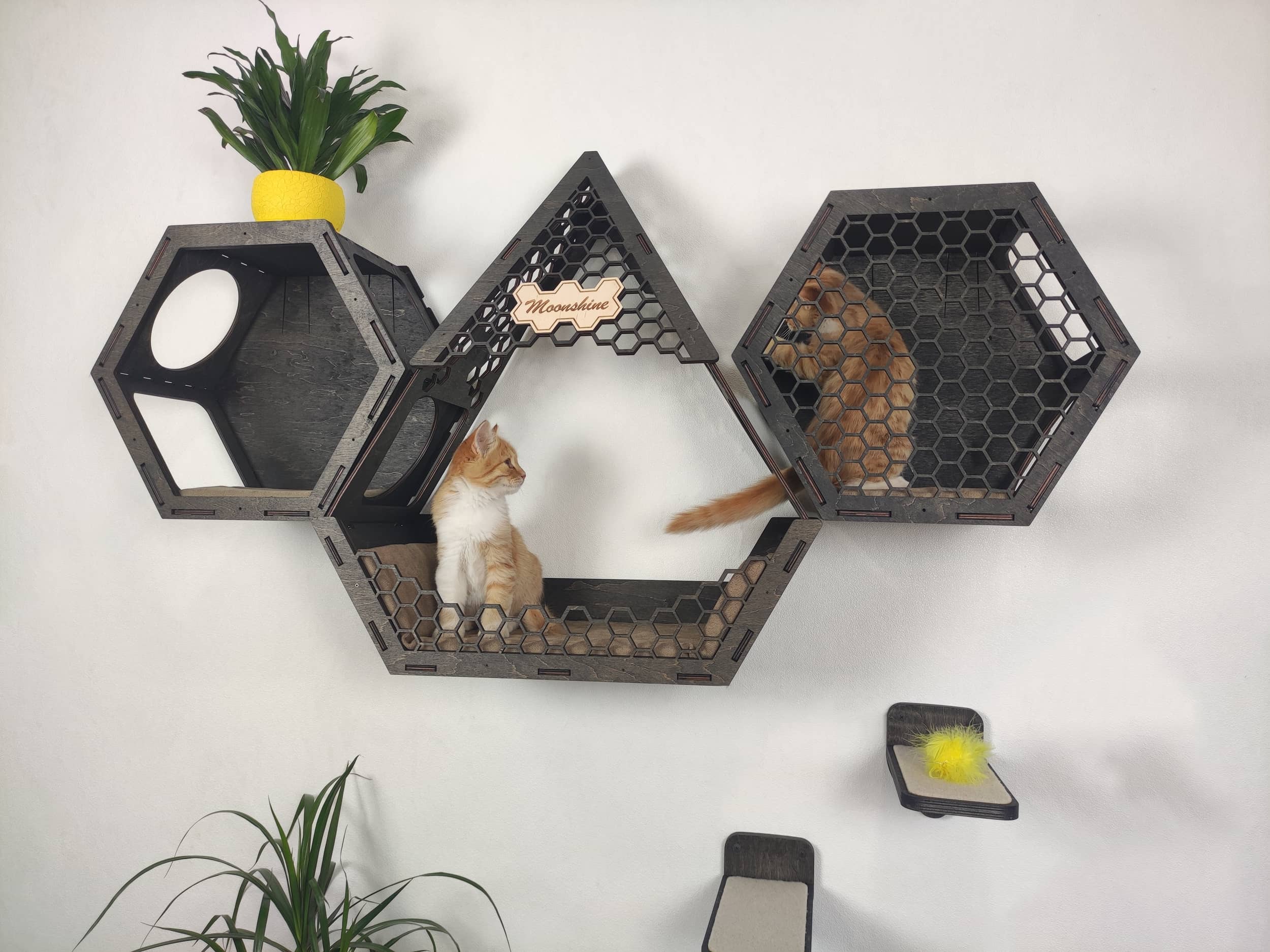 Wall mounted cat furniture / cat house - Dark