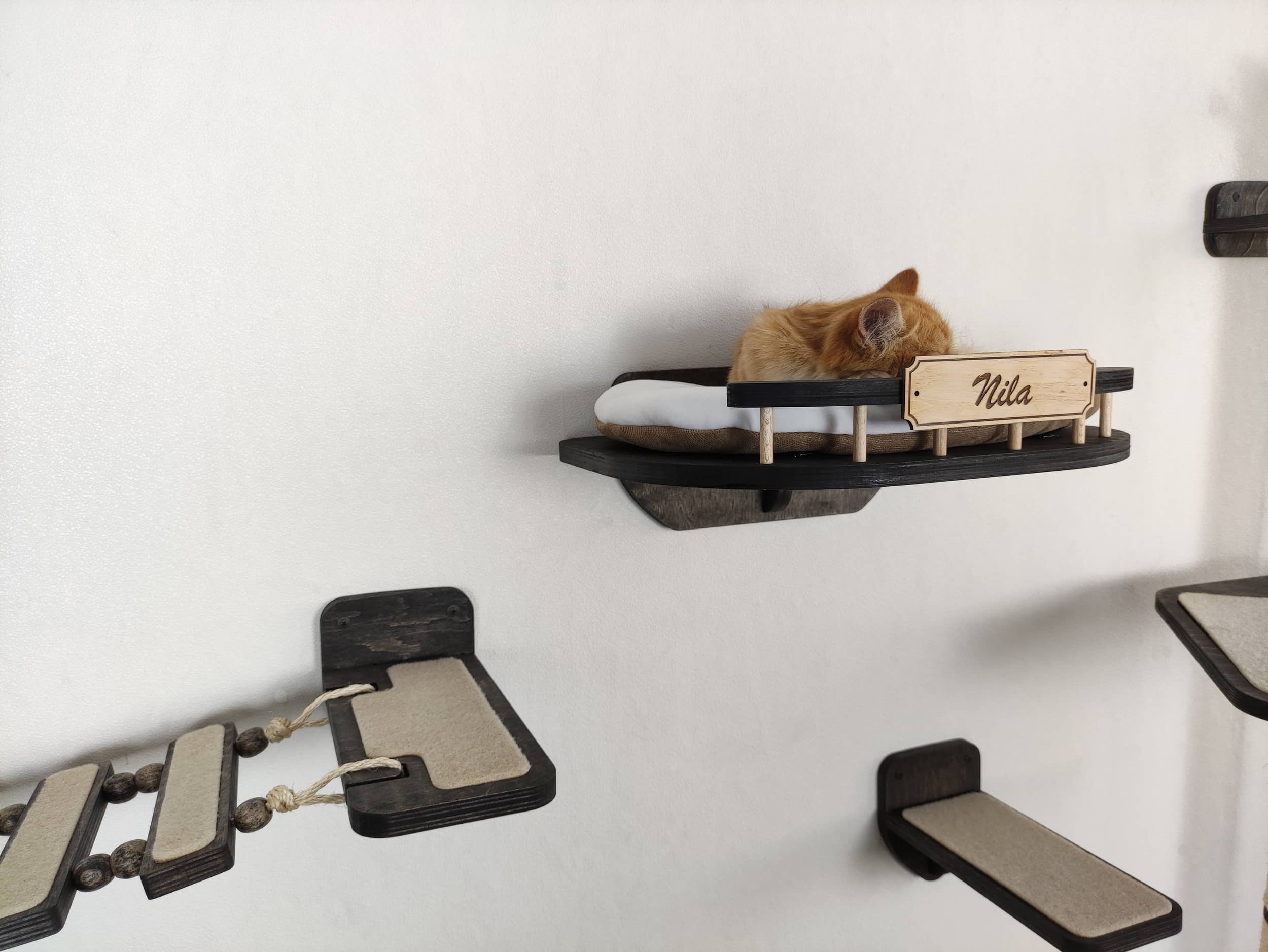 Wall mounted cat bed for a regular cat