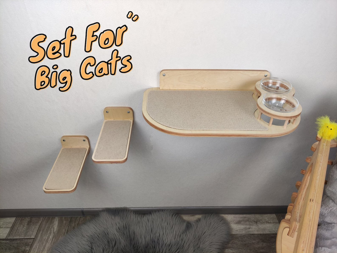 Cat feeder set for big cats - Light & raised bowls plus 2 steps