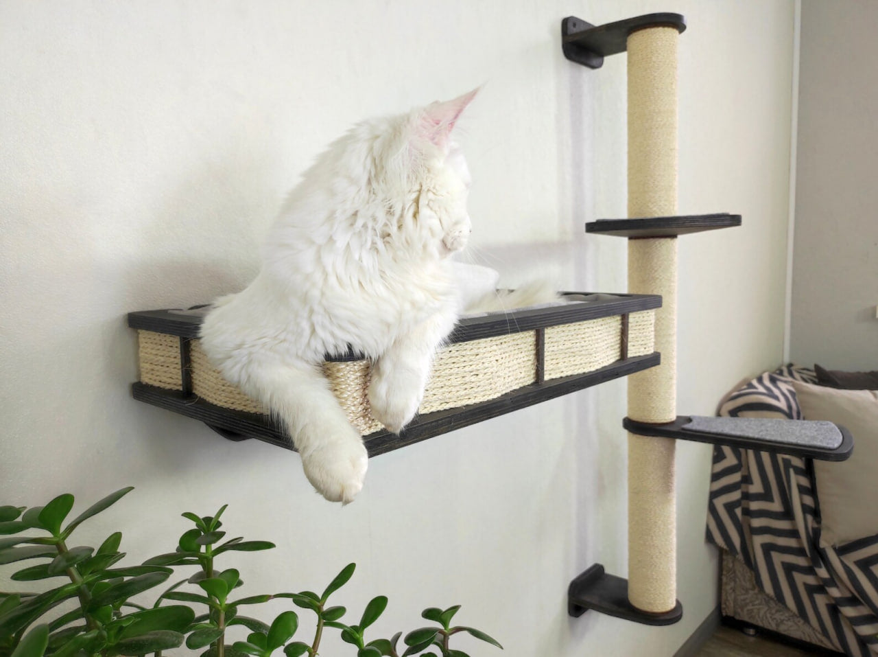 Cat furniture set  - Dark & Sratching post with Large shelf