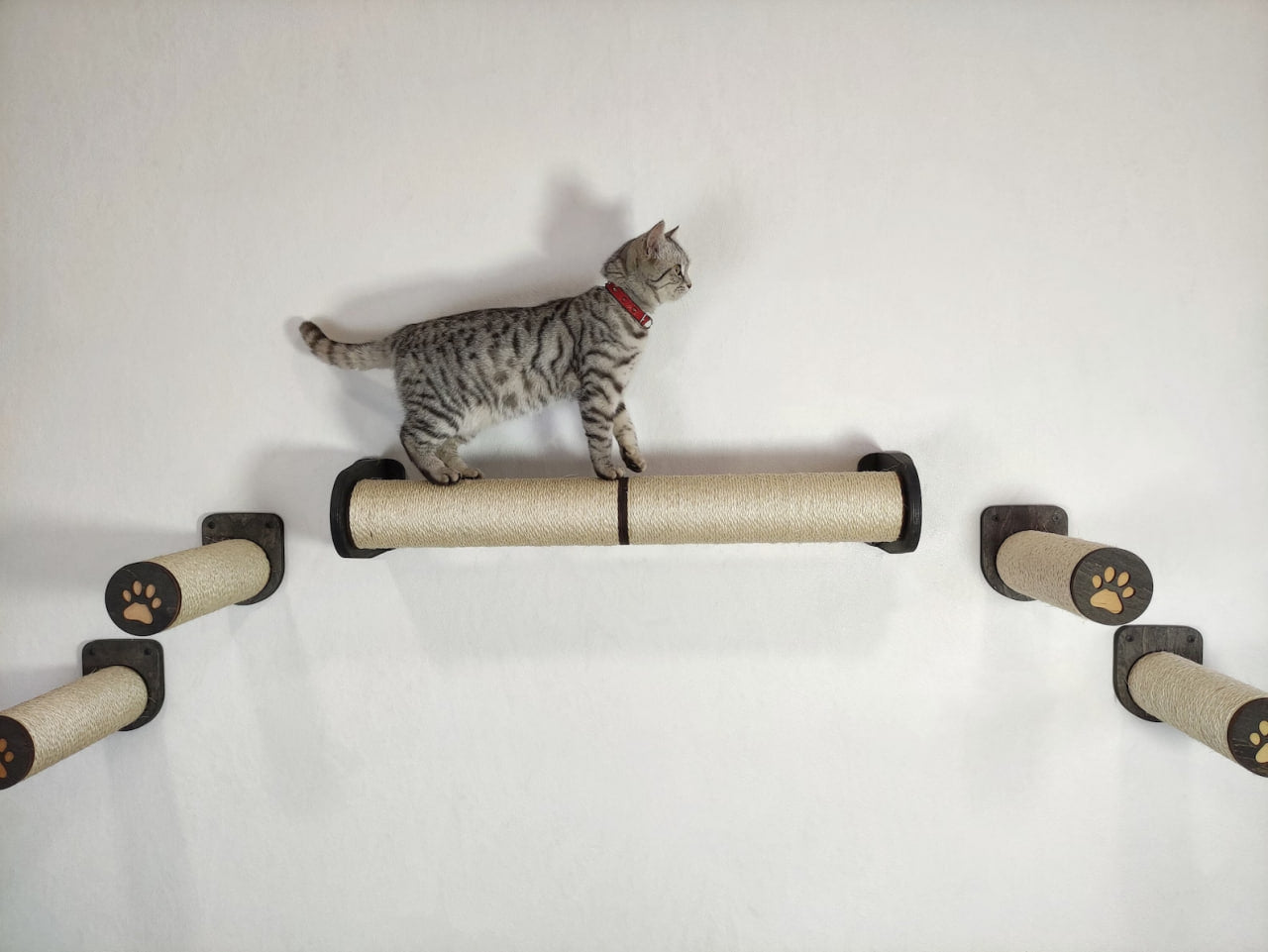 Cat wall shelves - Set of scratching posts