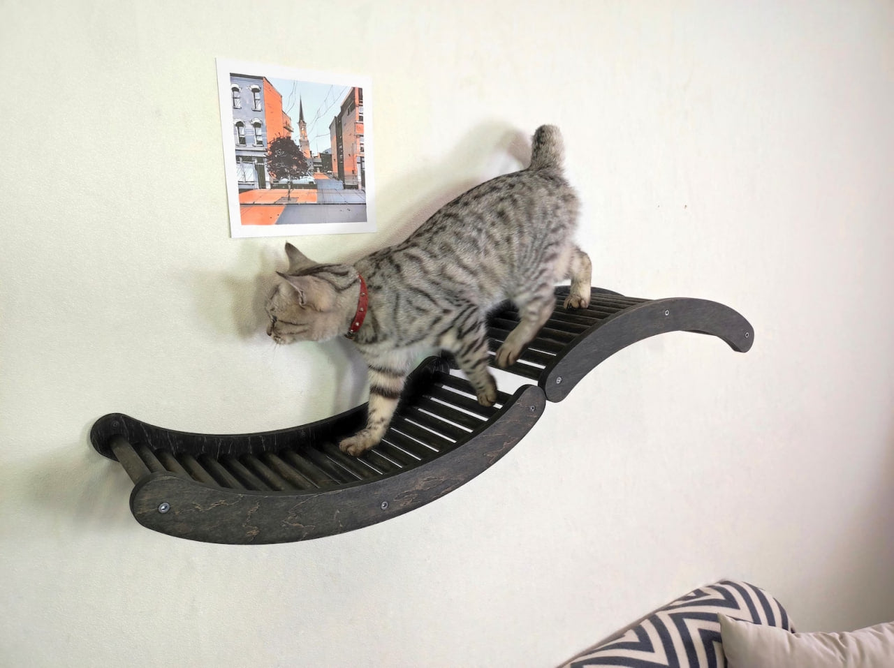 Cat wall shelf set - Dark / Set for your activity cats