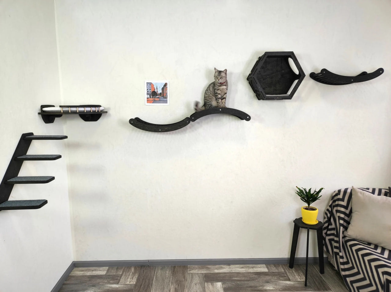 Cat wall furniture set - Dark / Play wall zone for active cats