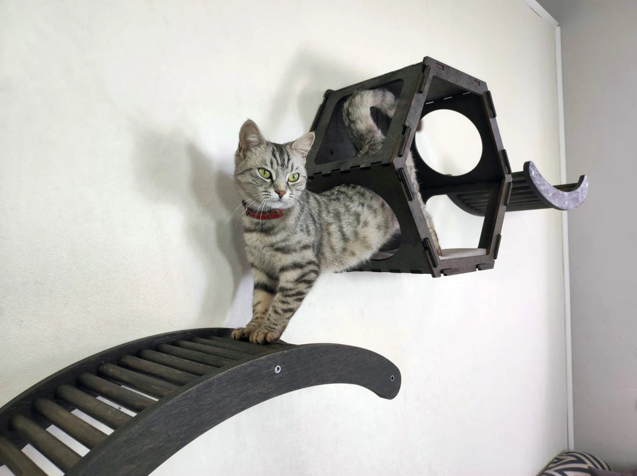 Cat wall furniture set - Dark / Play wall zone for active cats