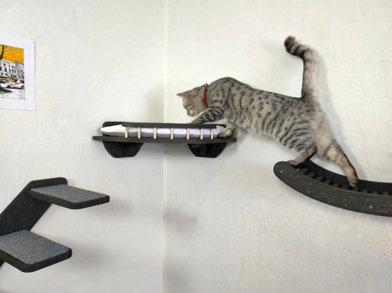 Cat Corner shelf