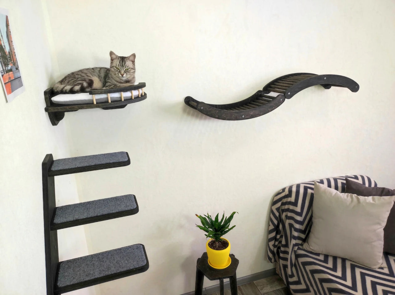 Cat wall shelf set 