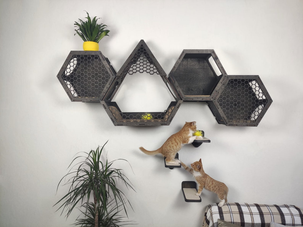Shelves for a cat wall / Dark & Cat condo set
